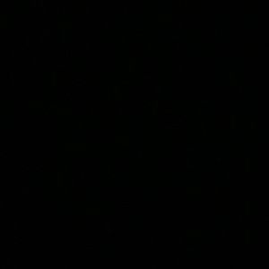 Meet your Posher, Charlotte